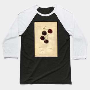 Kallich Giant Cherries Baseball T-Shirt